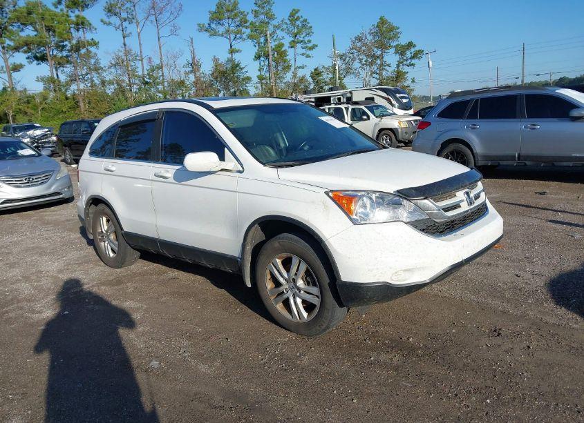2011 Honda Cr-v EX-L (VIN 5J6RE3H7XBL028685) main photo
