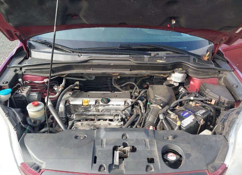 Photo 10 of 2009 Honda Cr-v LX (VIN 5J6RE48309L047176)