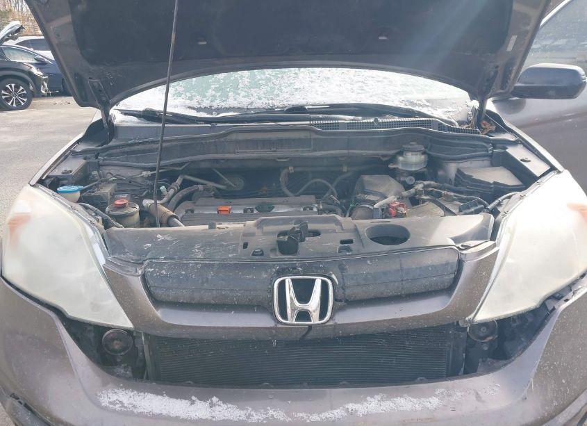 Photo 10 of 2009 Honda Cr-v LX (VIN 5J6RE48319L030631)