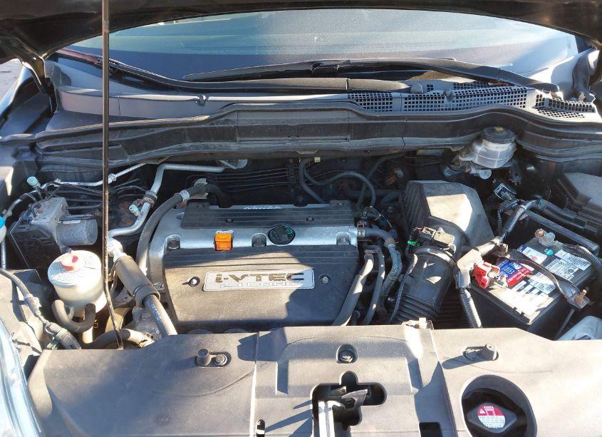 Photo 10 of 2009 Honda Cr-v LX (VIN 5J6RE48379L064962)