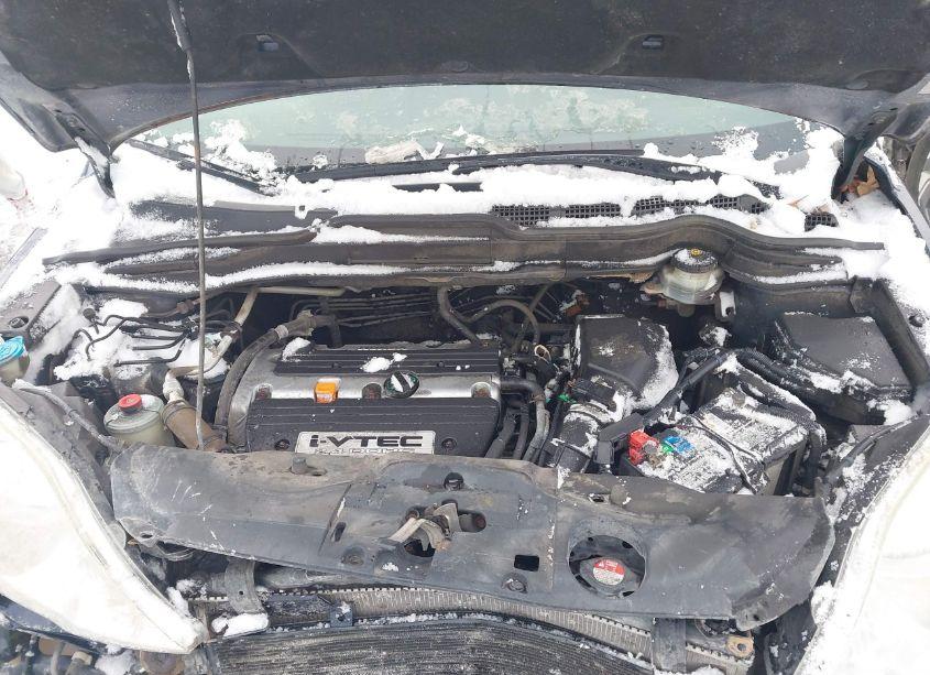 Photo 10 of 2009 Honda Cr-v LX (VIN 5J6RE48399L028884)