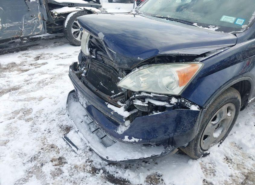 Photo 6 of 2009 Honda Cr-v LX (VIN 5J6RE48399L028884)