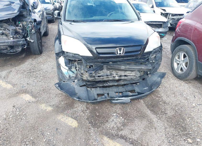 Photo 6 of 2009 Honda Cr-v LX (VIN 5J6RE48399L039674)