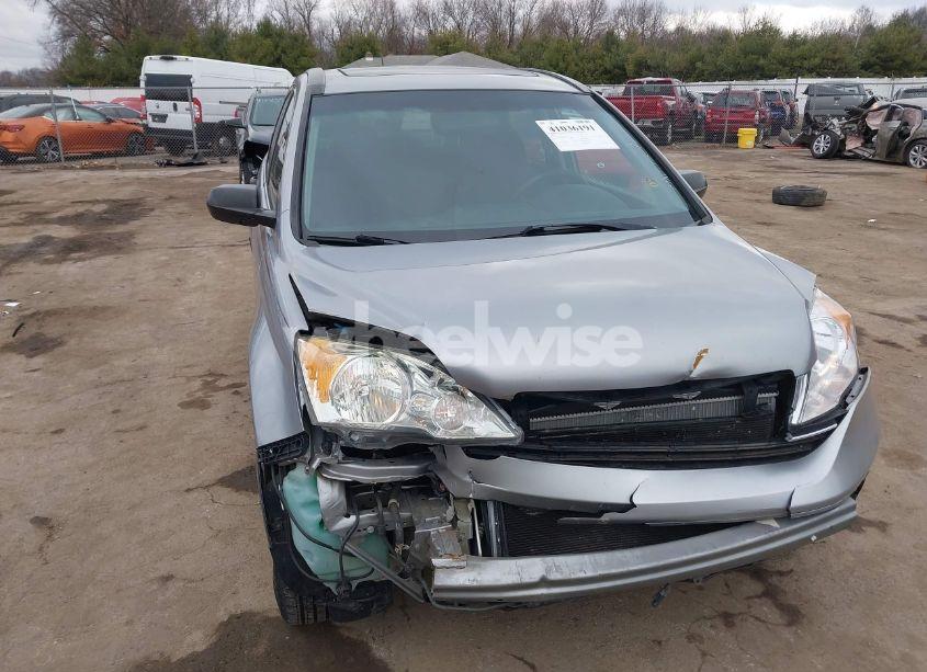 2007 Honda Cr-v EX (VIN 5J6RE48507L007548) main photo