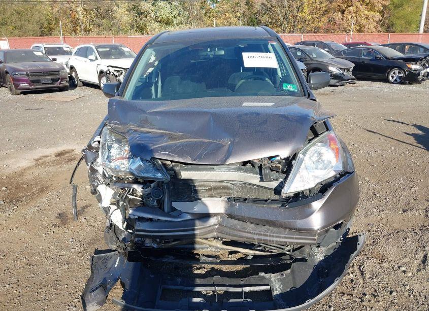 Photo 12 of 2009 Honda Cr-v EX (VIN 5J6RE48509L004250)