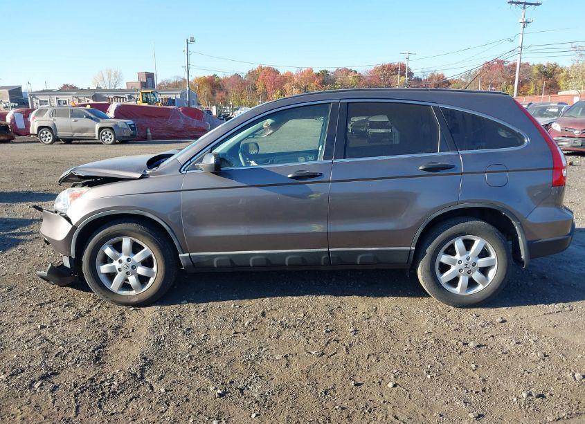 Photo 14 of 2009 Honda Cr-v EX (VIN 5J6RE48509L004250)