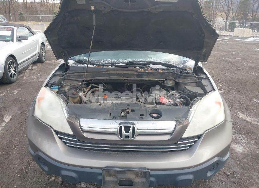 Photo 10 of 2009 Honda Cr-v EX (VIN 5J6RE48509L005771)