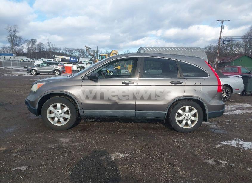 Photo 14 of 2009 Honda Cr-v EX (VIN 5J6RE48509L005771)