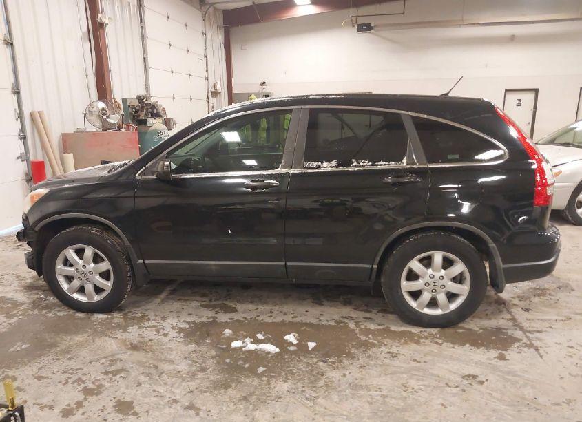 Photo 14 of 2009 Honda Cr-v EX (VIN 5J6RE48509L023977)