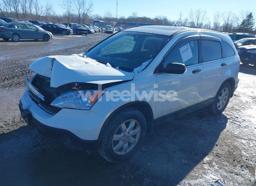 Photo 14 of 2007 Honda Cr-v EX (VIN 5J6RE48517L014766)
