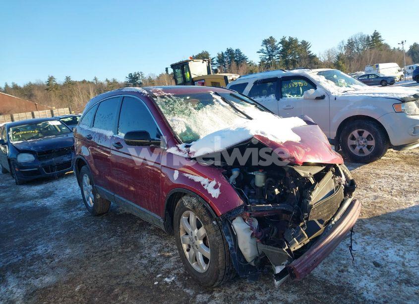 2009 Honda Cr-v EX (VIN 5J6RE48519L060648) main photo