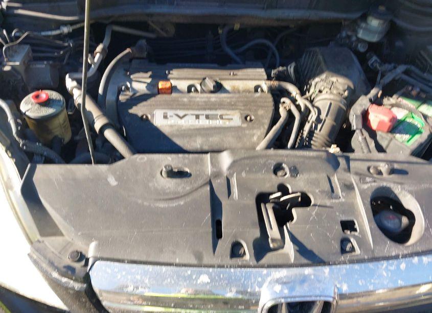 Photo 10 of 2009 Honda Cr-v EX (VIN 5J6RE48529L010440)