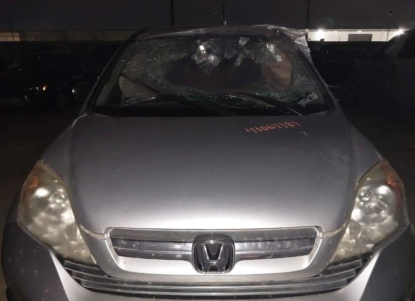 Photo 12 of 2009 Honda Cr-v EX (VIN 5J6RE48529L055975)