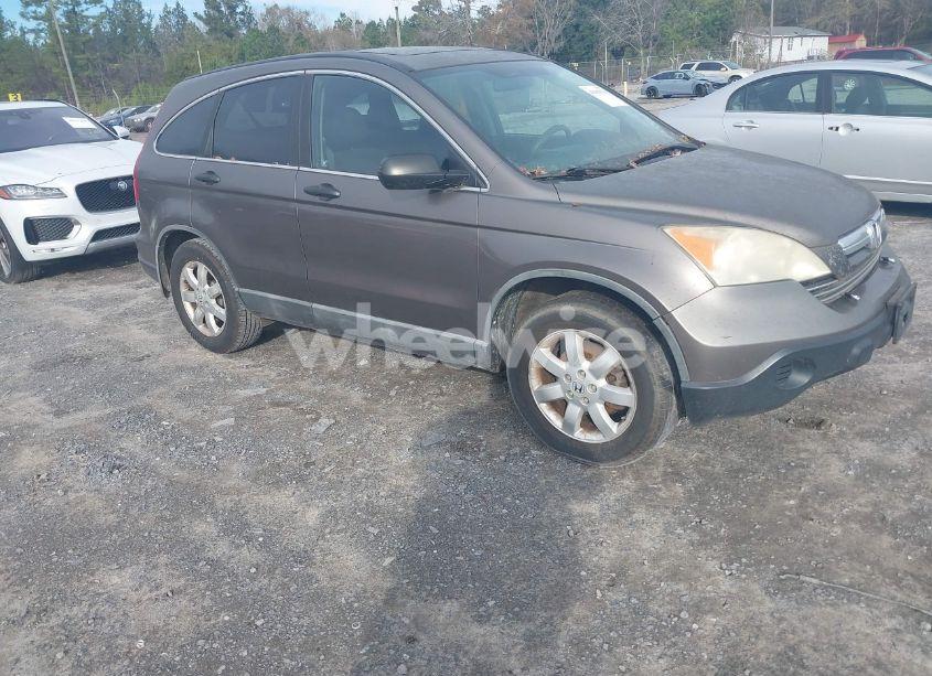2009 Honda Cr-v EX (VIN 5J6RE48539L005781) main photo