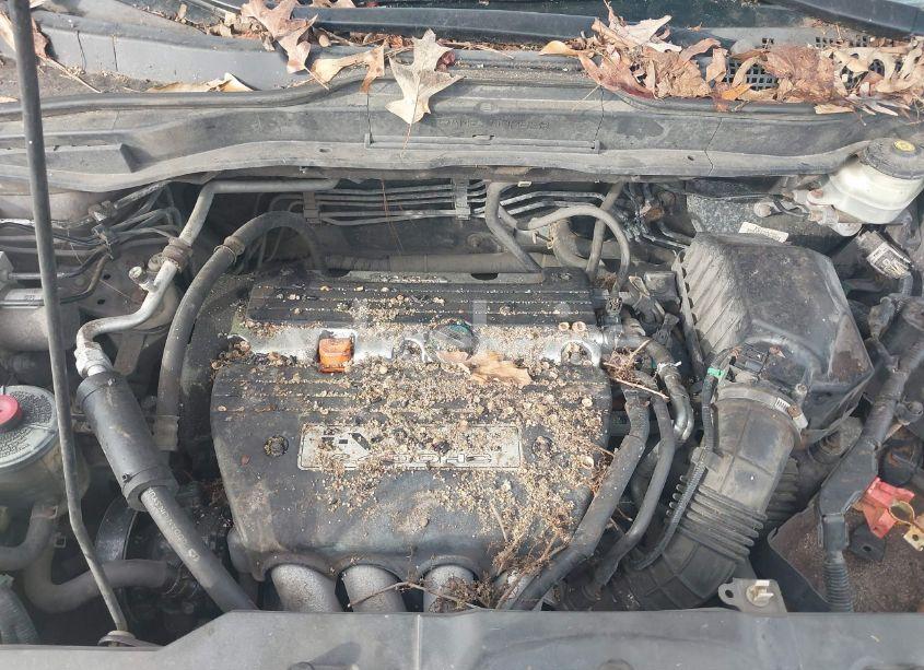 Photo 10 of 2009 Honda Cr-v EX (VIN 5J6RE48539L005781)