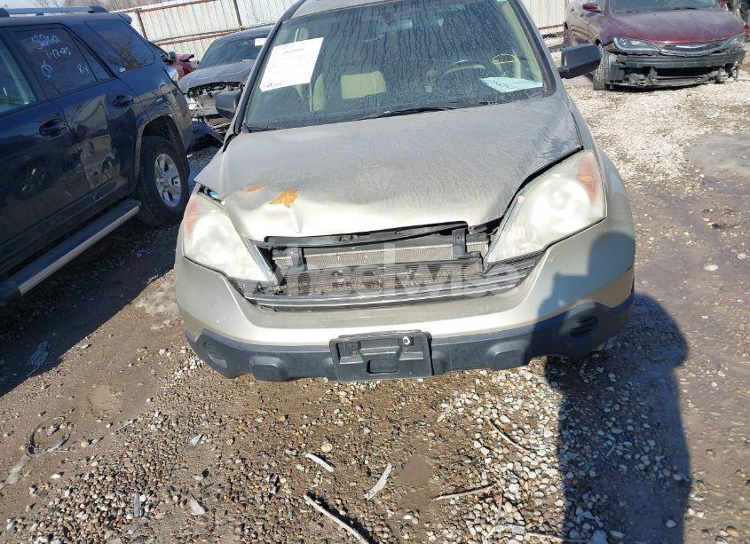 Photo 13 of 2009 Honda Cr-v EX (VIN 5J6RE48539L063521)