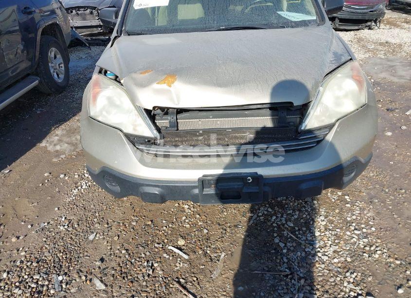 Photo 6 of 2009 Honda Cr-v EX (VIN 5J6RE48539L063521)