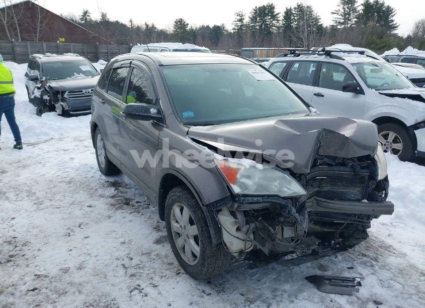 2009 Honda Cr-v EX (VIN 5J6RE48549L049966) main photo
