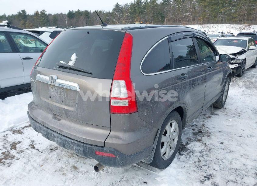 Photo 4 of 2009 Honda Cr-v EX (VIN 5J6RE48549L049966)