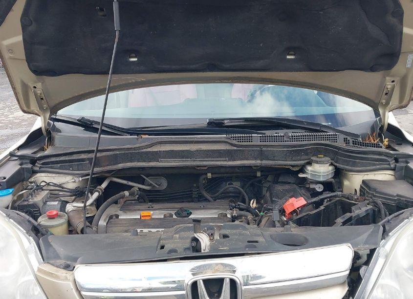 Photo 10 of 2008 Honda Cr-v EX (VIN 5J6RE48558L047142)