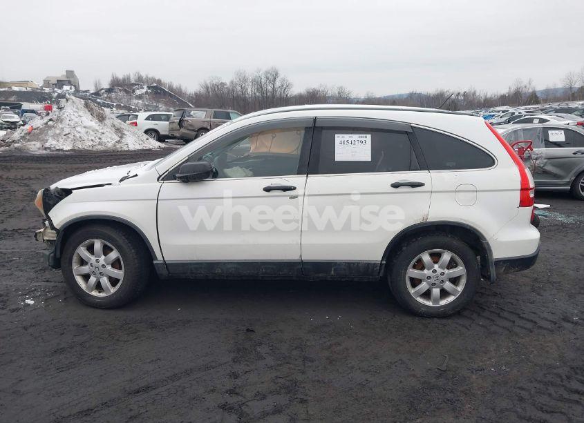 Photo 14 of 2009 Honda Cr-v EX (VIN 5J6RE48559L019617)