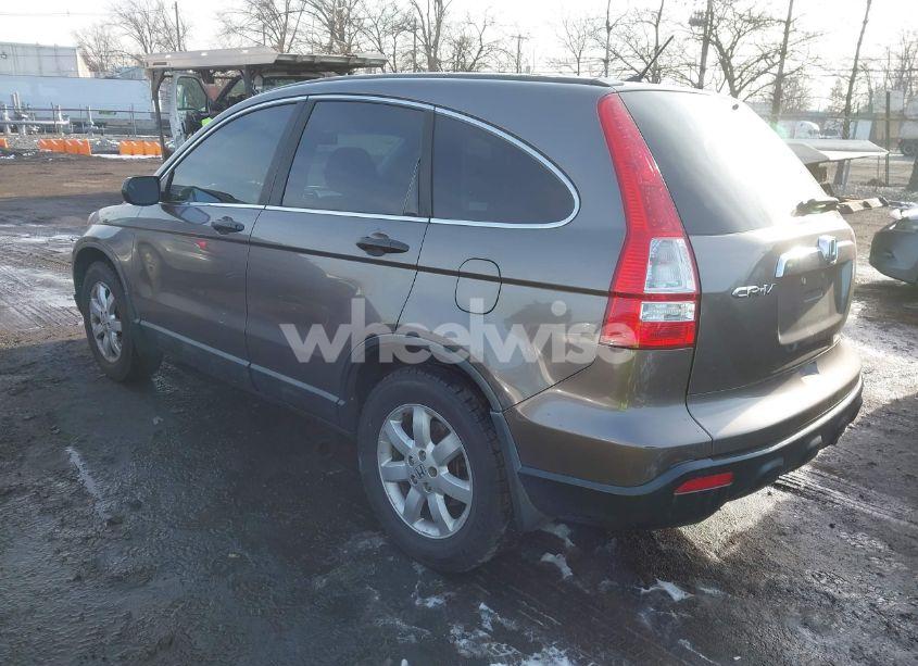 Photo 3 of 2009 Honda Cr-v EX (VIN 5J6RE48559L025532)