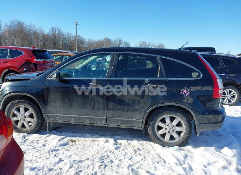 Photo 13 of 2009 Honda Cr-v EX (VIN 5J6RE48559L034425)