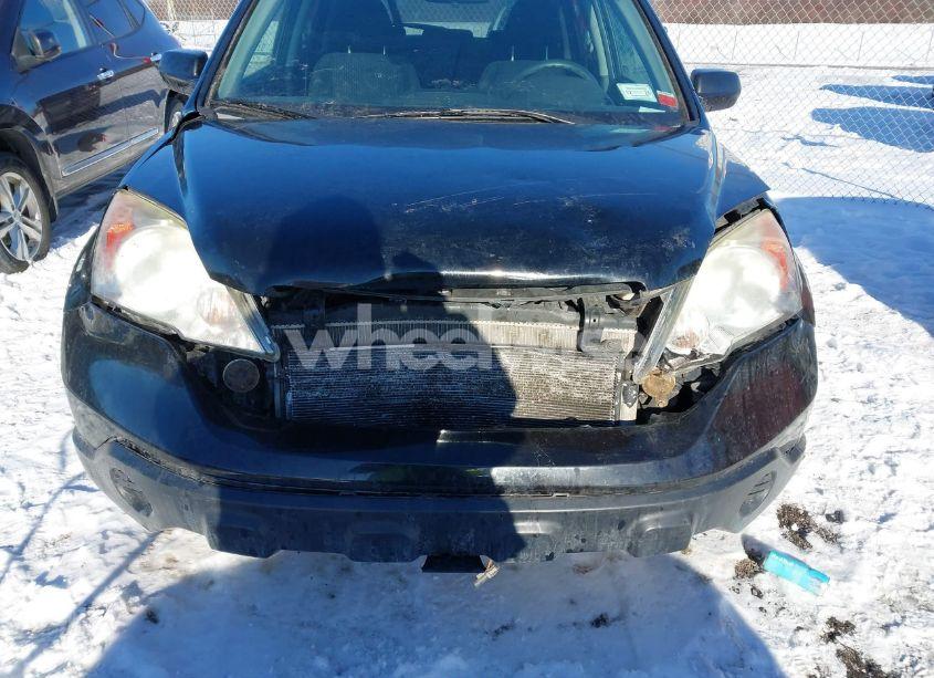 Photo 6 of 2009 Honda Cr-v EX (VIN 5J6RE48559L034425)