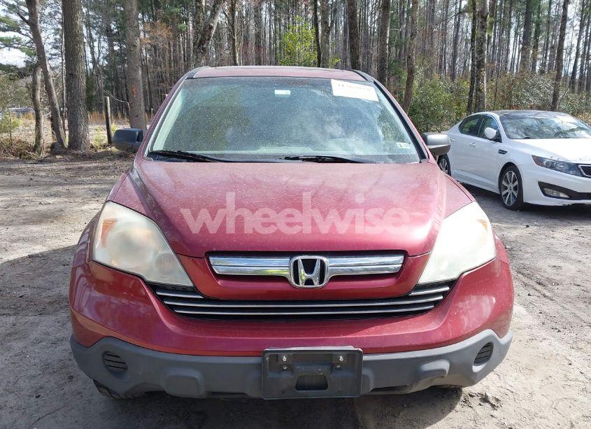Photo 12 of 2009 Honda Cr-v EX (VIN 5J6RE48559L048664)