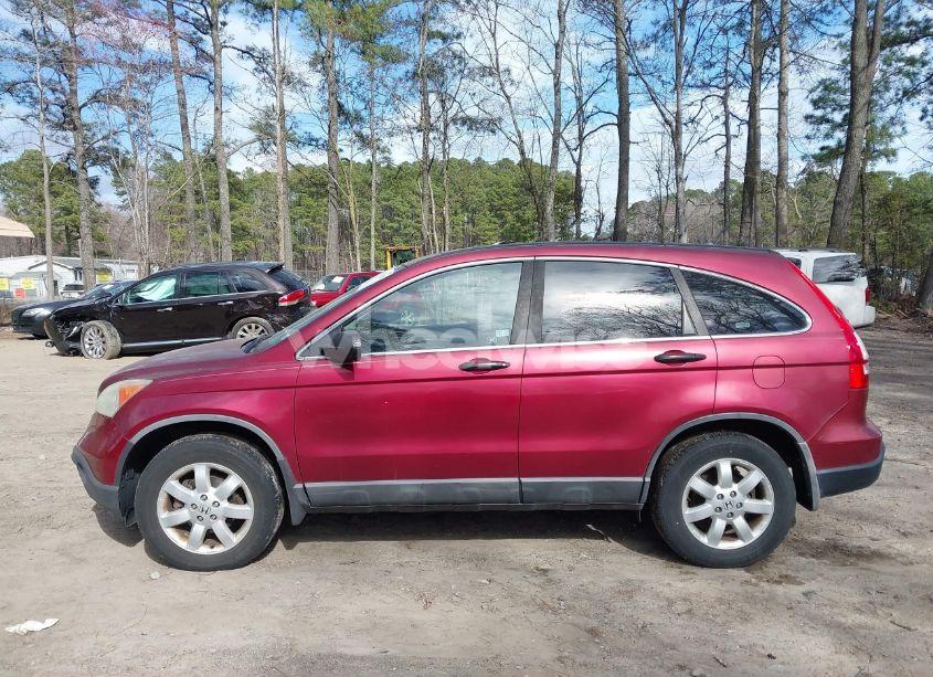 Photo 14 of 2009 Honda Cr-v EX (VIN 5J6RE48559L048664)