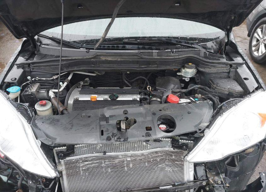 Photo 10 of 2008 Honda Cr-v EX (VIN 5J6RE48588L034496)