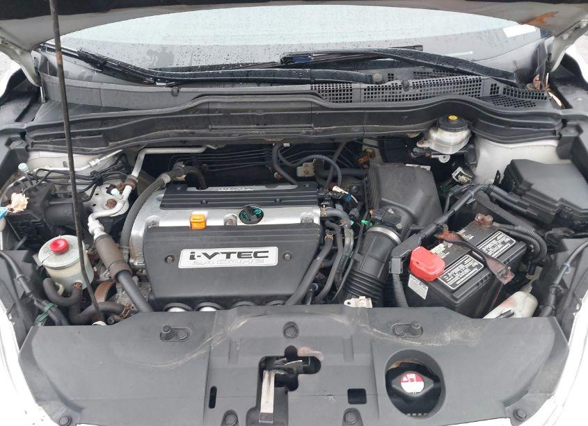 Photo 10 of 2009 Honda Cr-v EX (VIN 5J6RE48589L024438)