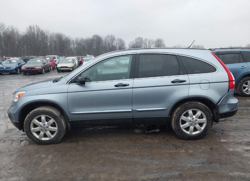 Photo 13 of 2009 Honda Cr-v EX (VIN 5J6RE48589L035830)