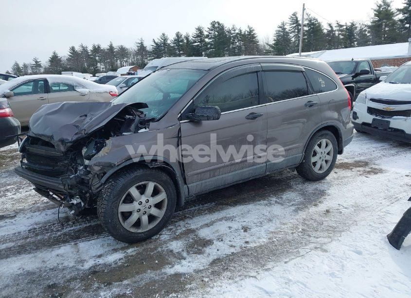 Photo 2 of 2009 Honda Cr-v EX (VIN 5J6RE48599L016414)