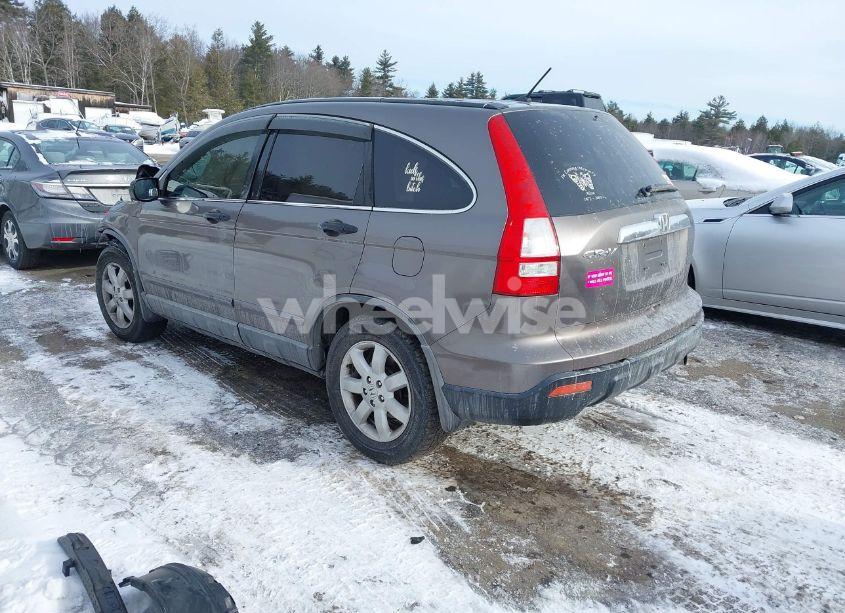 Photo 3 of 2009 Honda Cr-v EX (VIN 5J6RE48599L016414)