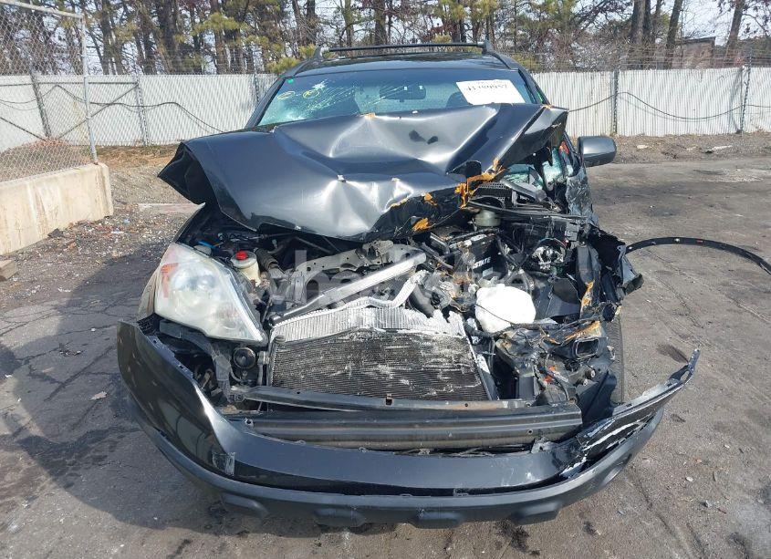 Photo 12 of 2009 Honda Cr-v EX (VIN 5J6RE485X9L058333)