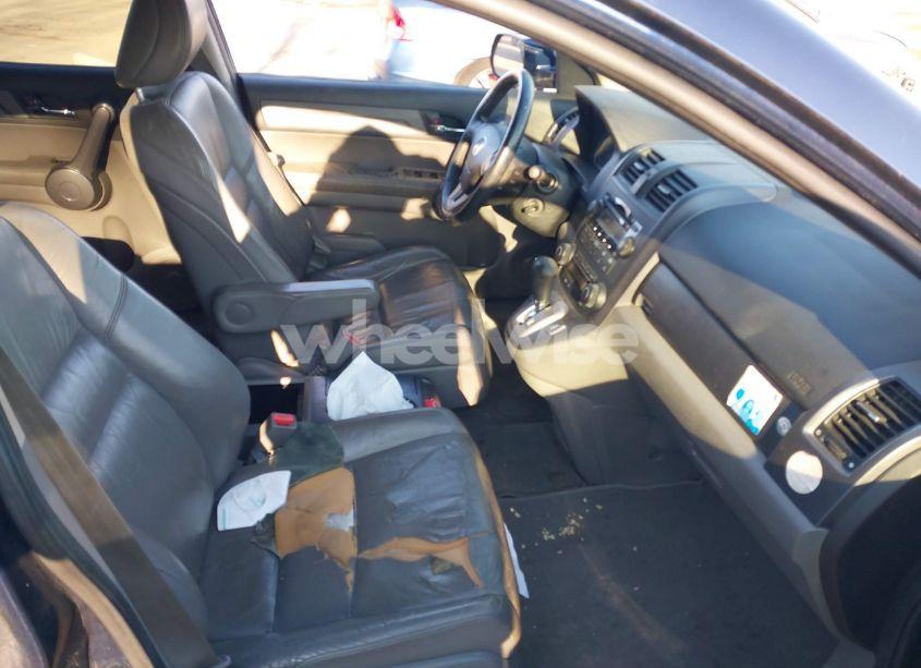 Photo 5 of 2008 Honda Cr-v EX-L (VIN 5J6RE48708L017709)