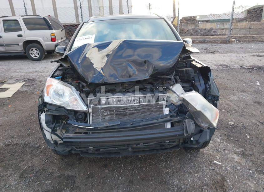 Photo 12 of 2009 Honda Cr-v EX-L (VIN 5J6RE48709L053207)