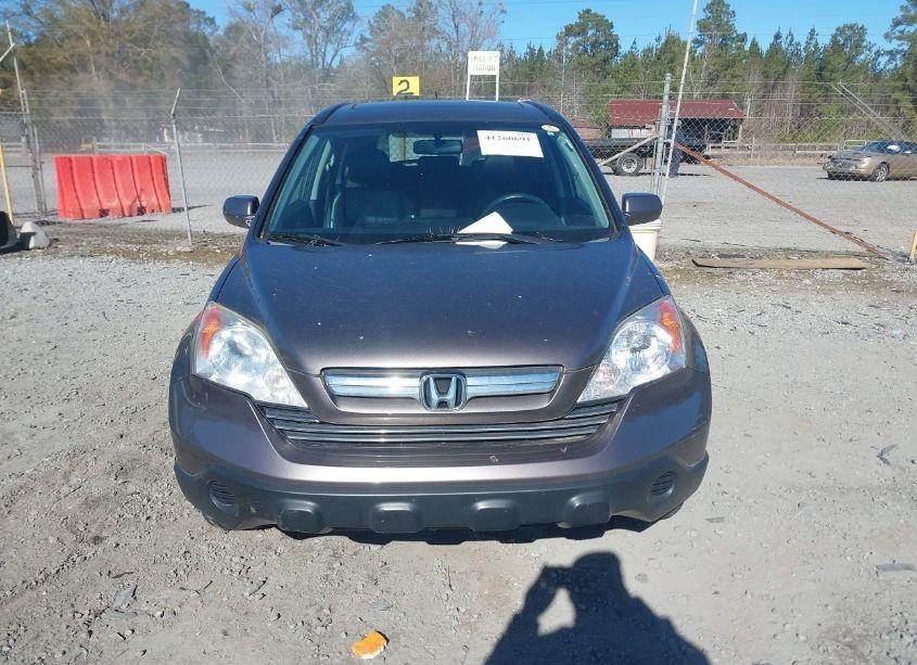 Photo 12 of 2009 Honda Cr-v EX-L (VIN 5J6RE48709L053708)