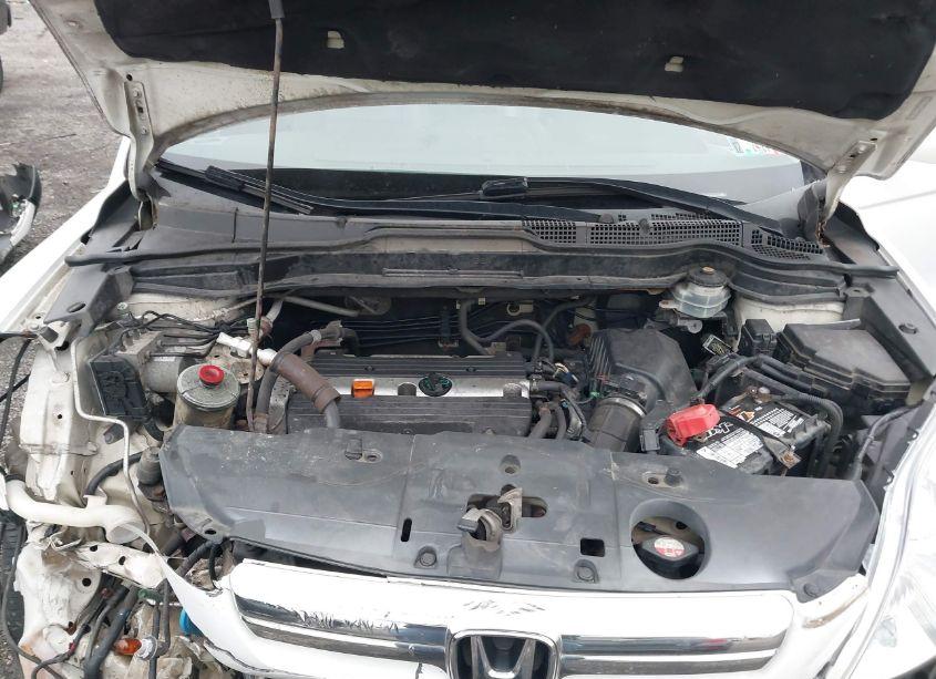 Photo 10 of 2008 Honda Cr-v EX-L (VIN 5J6RE48718L027987)