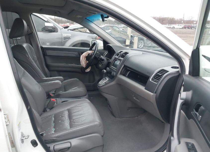 Photo 5 of 2008 Honda Cr-v EX-L (VIN 5J6RE48718L027987)