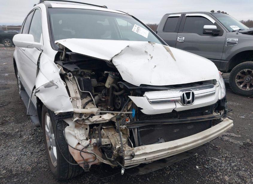 Photo 6 of 2008 Honda Cr-v EX-L (VIN 5J6RE48718L027987)