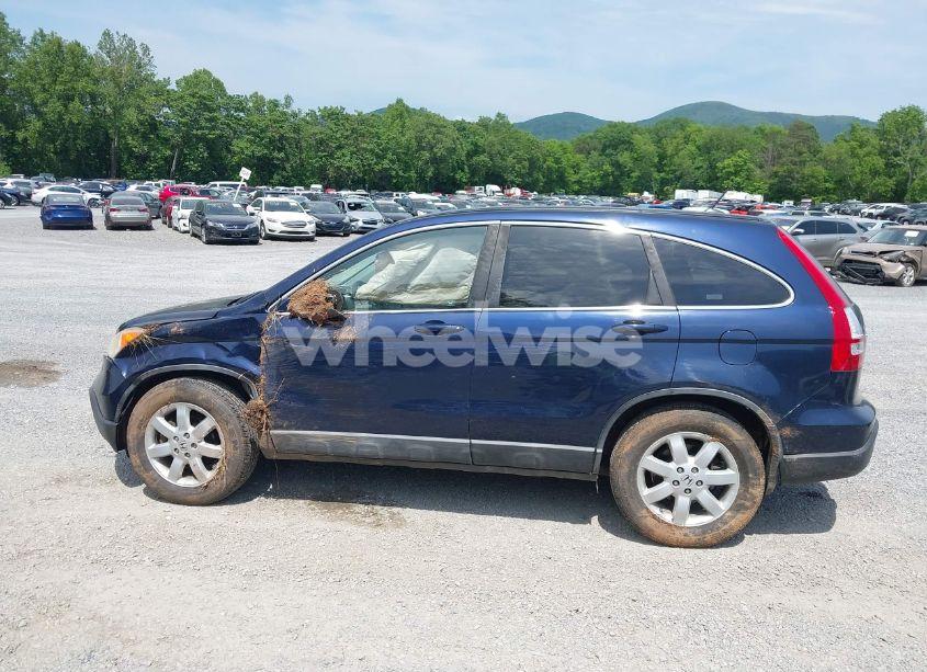 Photo 15 of 2008 Honda Cr-v EX-L (VIN 5J6RE48718L047513)