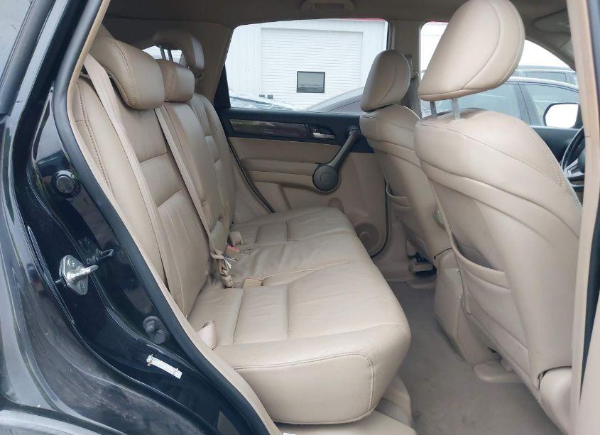 Photo 8 of 2009 Honda Cr-v EX-L (VIN 5J6RE48719L033032)