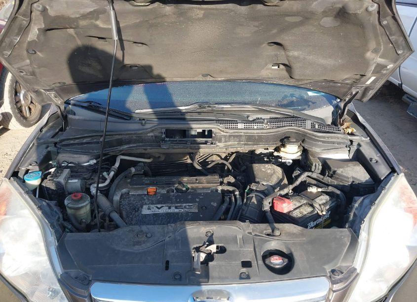 Photo 10 of 2009 Honda Cr-v EX-L (VIN 5J6RE48719L049568)