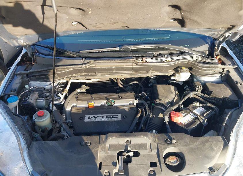 Photo 10 of 2008 Honda Cr-v EX-L (VIN 5J6RE48728L050727)