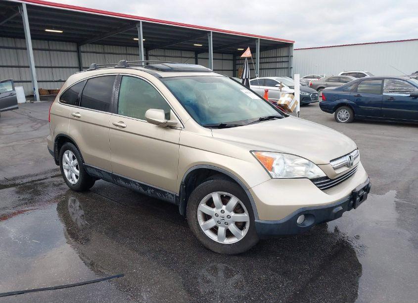 2009 Honda Cr-v EX-L (VIN 5J6RE48729L005952) main photo