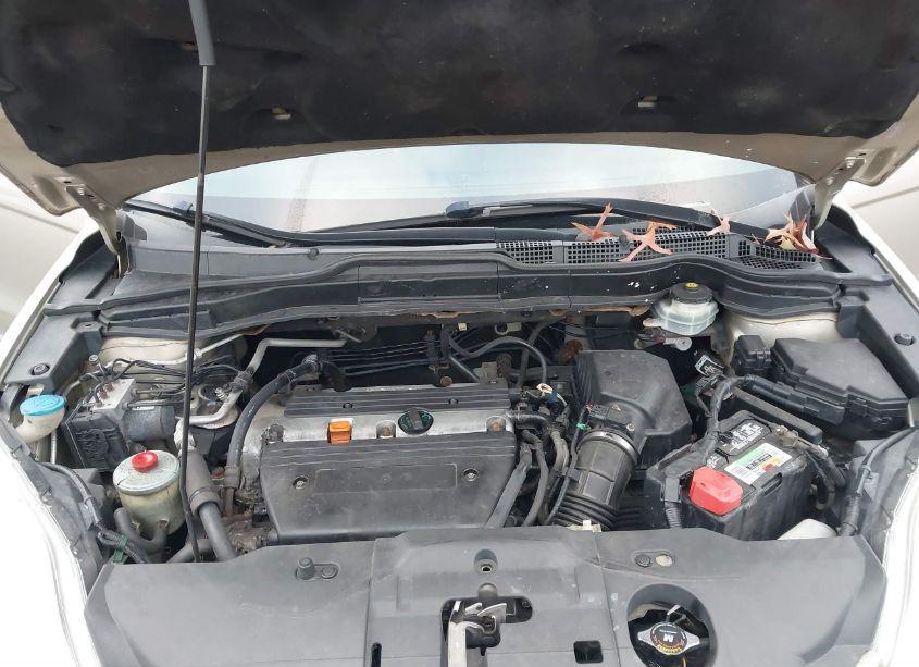 Photo 10 of 2009 Honda Cr-v EX-L (VIN 5J6RE48729L005952)