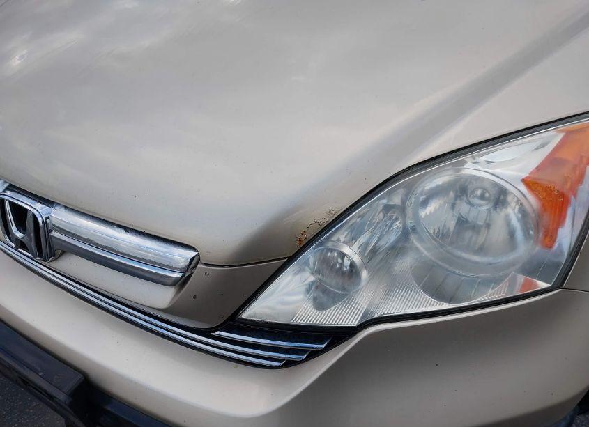 Photo 6 of 2009 Honda Cr-v EX-L (VIN 5J6RE48729L005952)