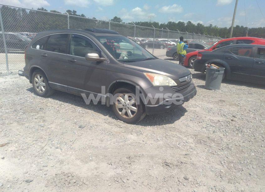 2009 Honda Cr-v EX-L (VIN 5J6RE48729L023626) main photo